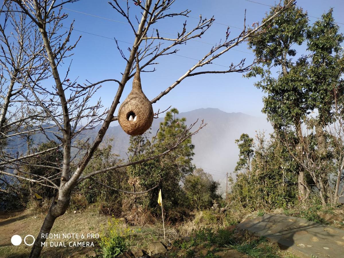 In Apple Estate Kanatal - Himalayan View Resort With Courteous Staff Buitenkant foto