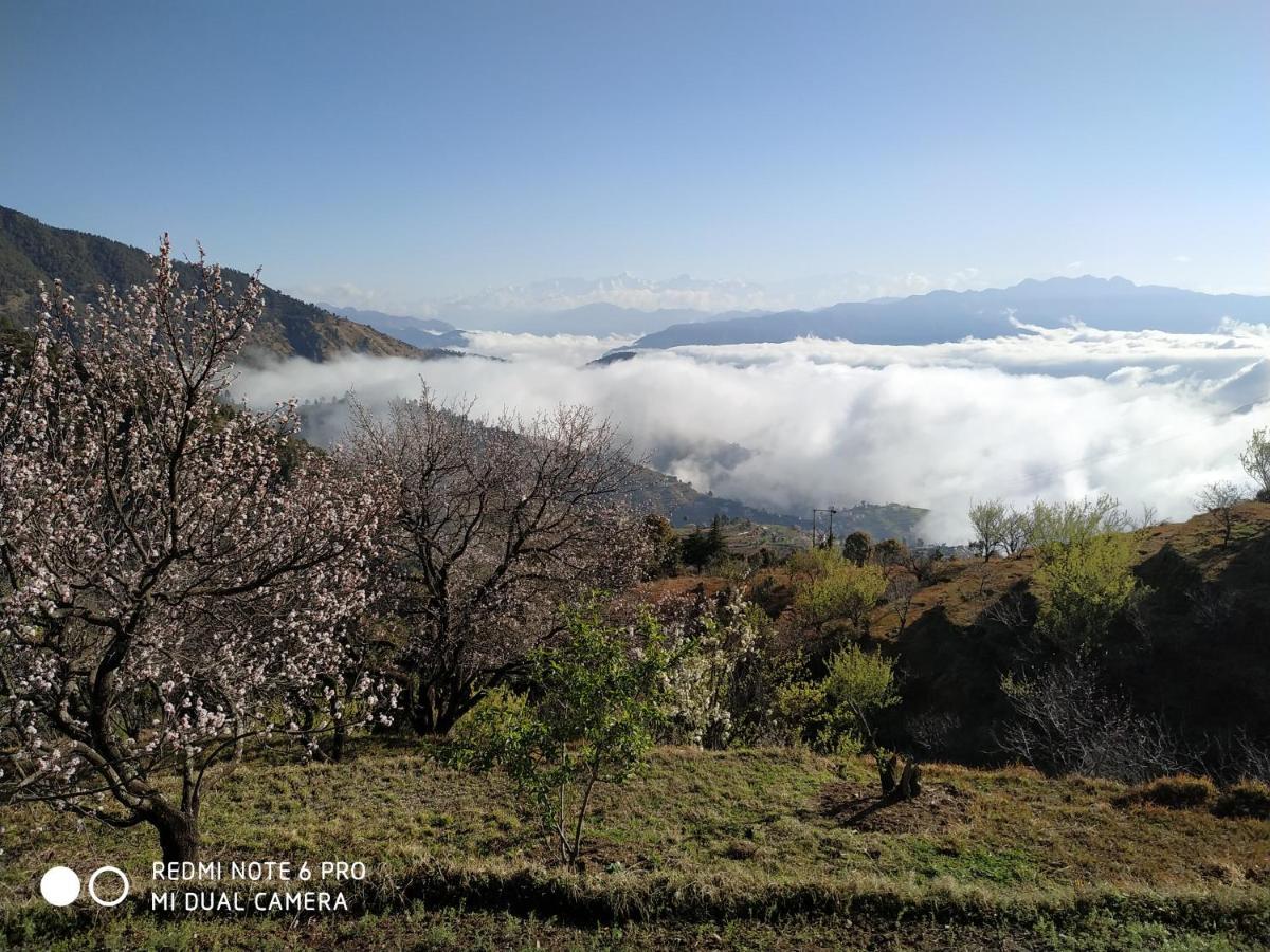 In Apple Estate Kanatal - Himalayan View Resort With Courteous Staff Buitenkant foto