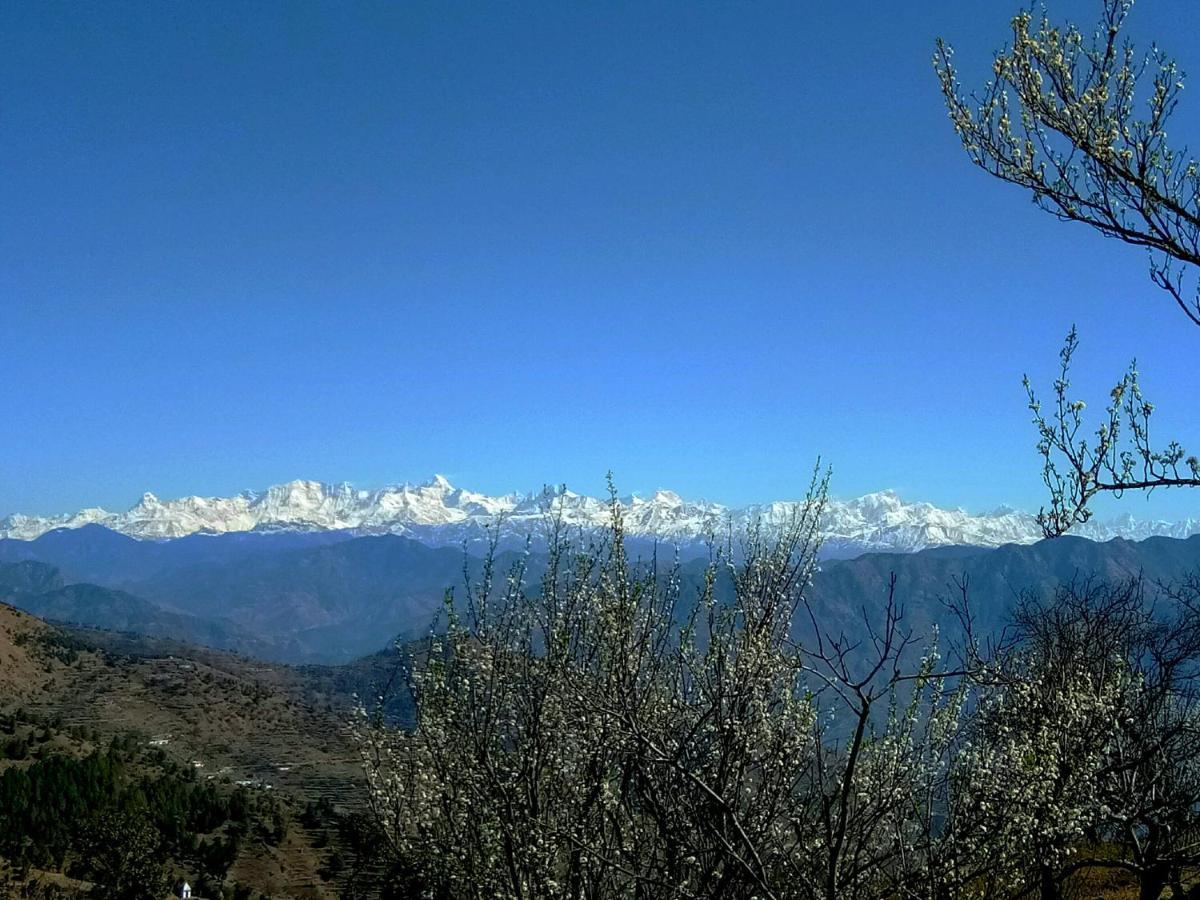 In Apple Estate Kanatal - Himalayan View Resort With Courteous Staff Buitenkant foto