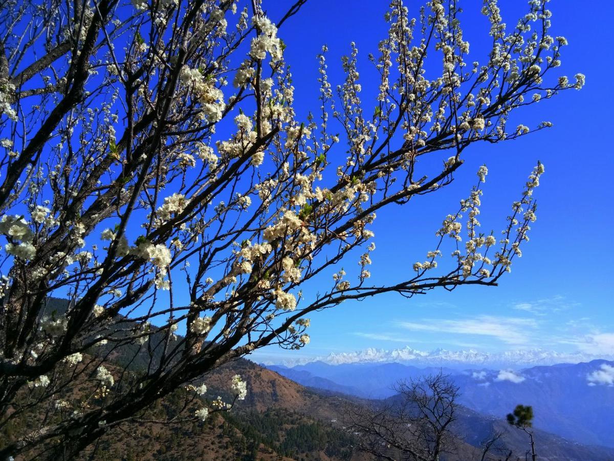 In Apple Estate Kanatal - Himalayan View Resort With Courteous Staff Buitenkant foto