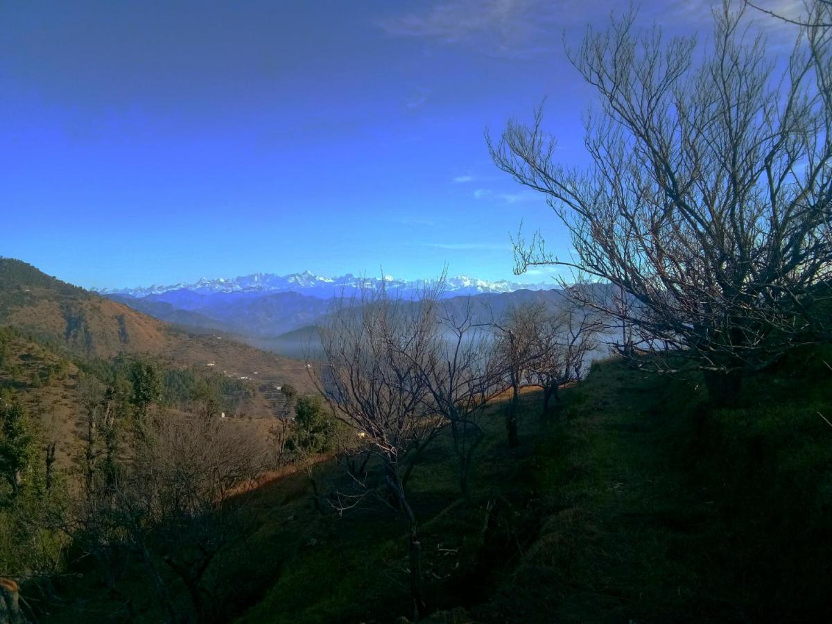 In Apple Estate Kanatal - Himalayan View Resort With Courteous Staff Buitenkant foto